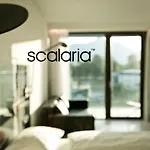 Scalaria Sunset Wing (adults Only) 4*
