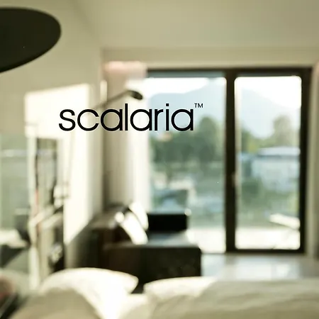 Scalaria Sunset Wing (adults Only) 4*