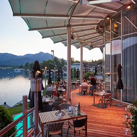 Scalaria Sunset Wing (adults Only)