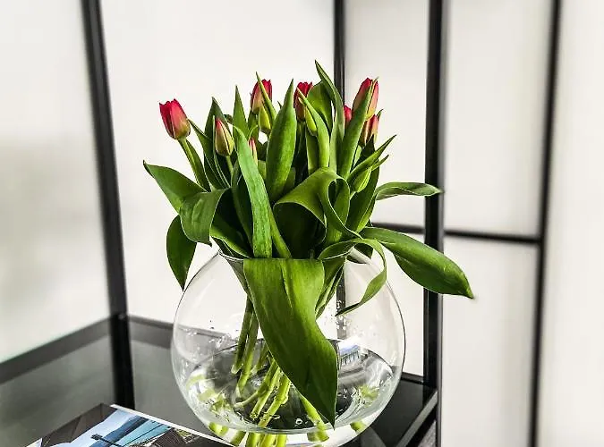 Otel Scalaria Sunset Wing (adults Only) Ried