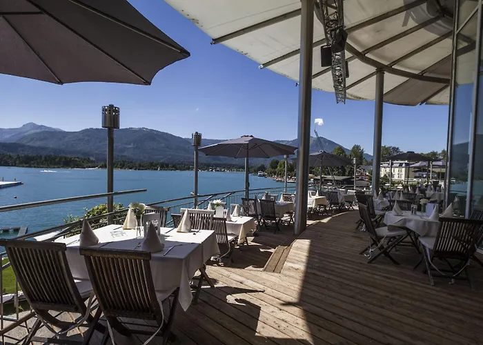 Scalaria Sunset Wing (adults Only) Ried