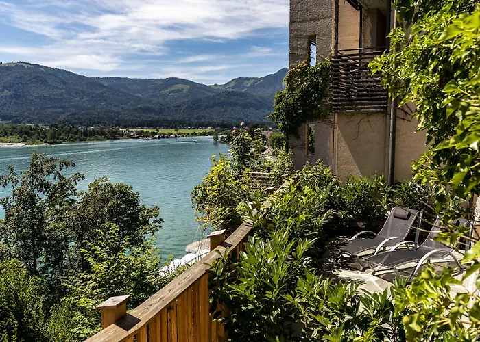 Scalaria Sunset Wing (adults Only)